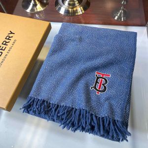 Burberry Cashmere Scarf In Blue
